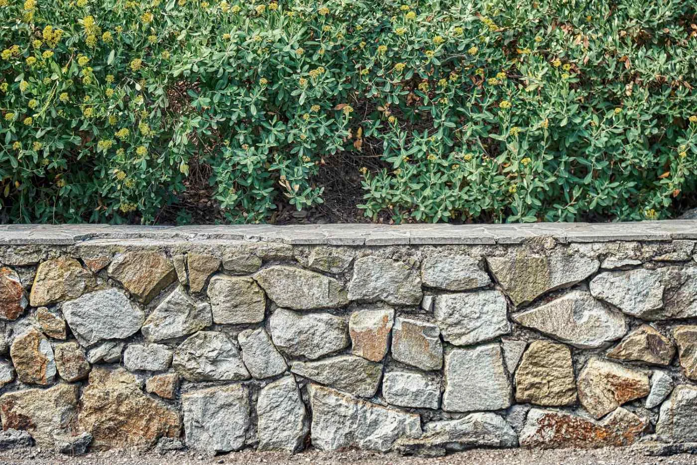 Natursteinmauer mit Bepflanzung